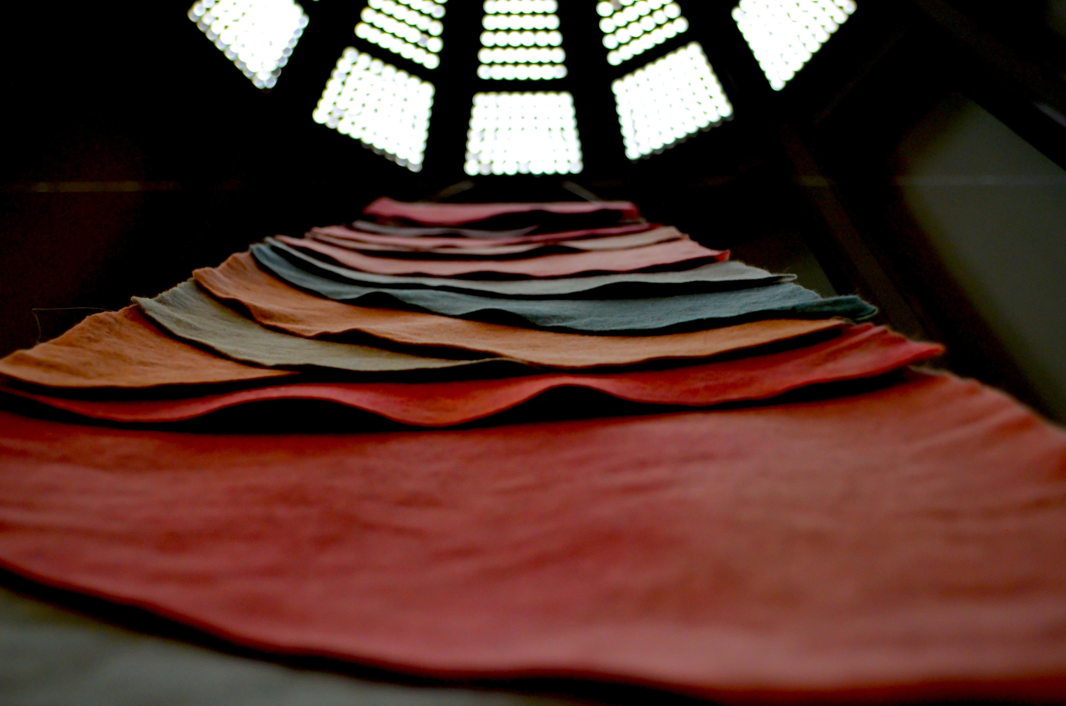 Exposición de Isa Carrillo en Bellas Artes.
