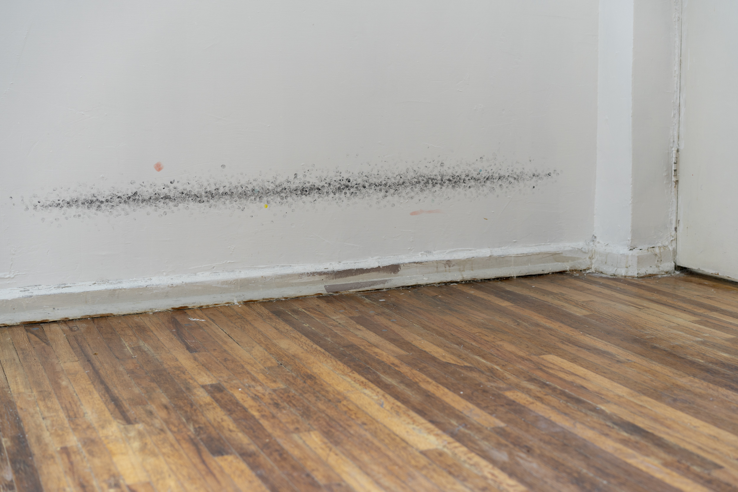 Pared, de la exposición residencia de Ana Bidart.