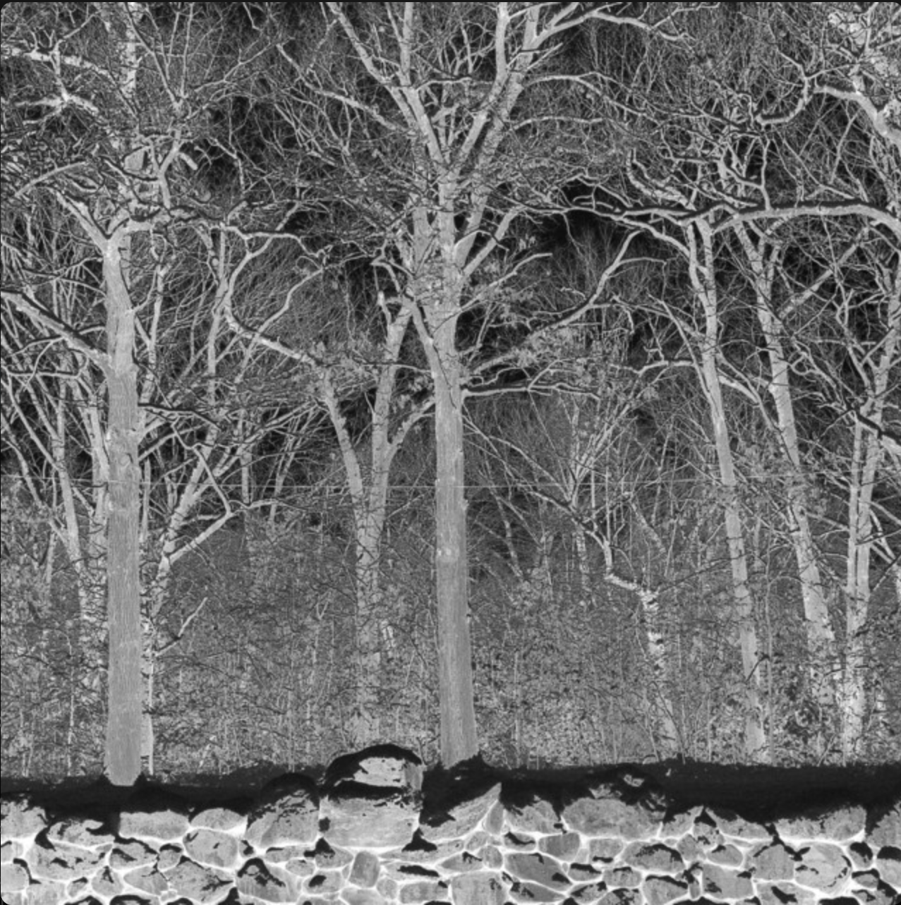 Portada del disco Sunshine and Balance Beams de Pile.