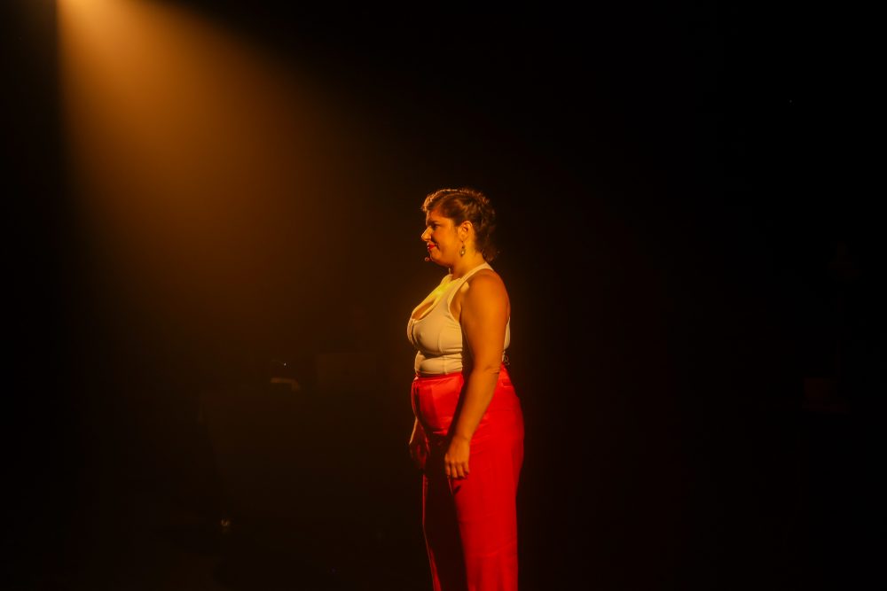 Amar por ver amar, obra basada en El Perro Hortelano de Lope de Vega.