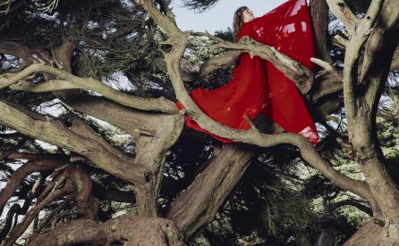 Portada del disco Nested In Tangles de Hannah Frances.