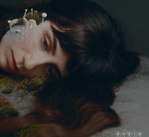 Portada del disco Not For Lack Of Trying de dodie.