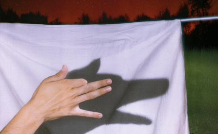 Portada del disco solo quiero ser tu perro de Gal Go.