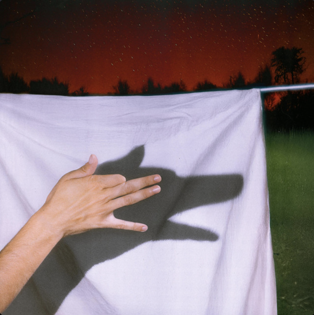 Portada del disco solo quiero ser tu perro de Gal Go.