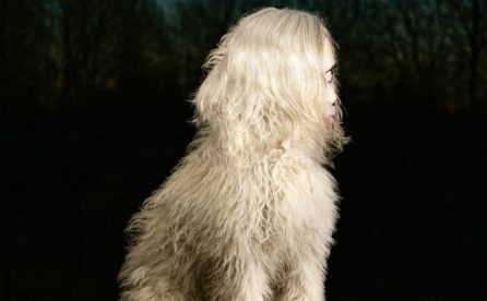 Portada del disco DOGA de Juana Molina.