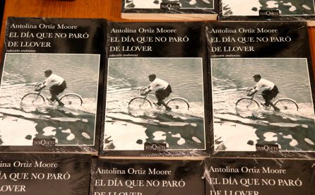 El dia que no dejo de llover de Antolina Ortiz Moore.