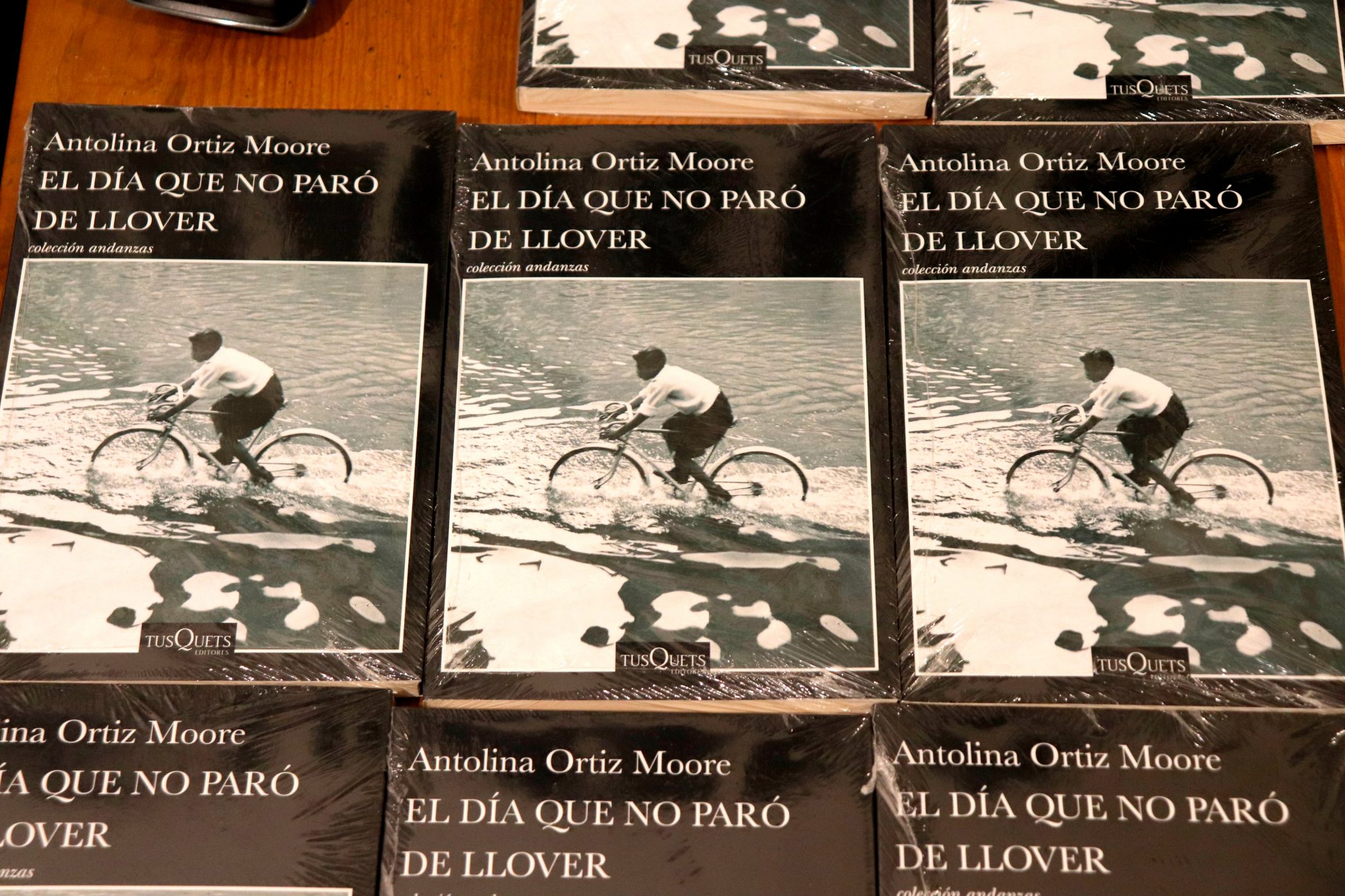 El dia que no dejo de llover de Antolina Ortiz Moore.