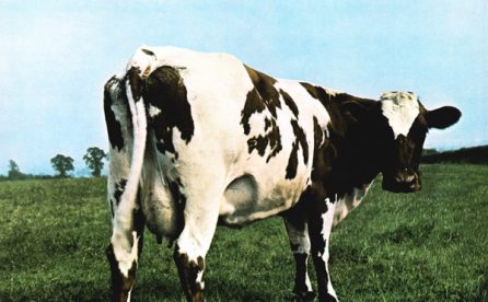 Portada del disco Atom Heart Mother de Pink Floyd.