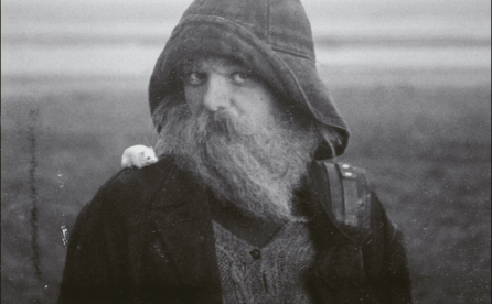 Portada del disco ROLE MODEL HERMIT de mary in the junkyard.