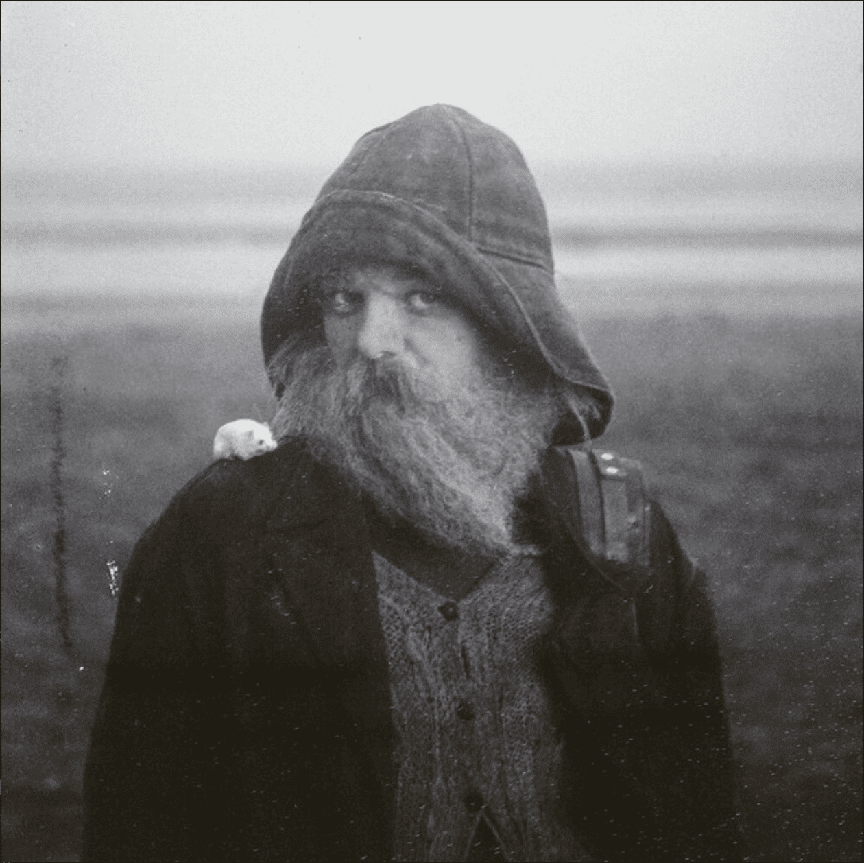 Portada del disco ROLE MODEL HERMIT de mary in the junkyard.